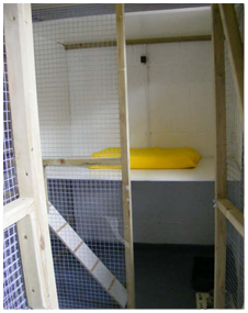 Cattery Accommodation